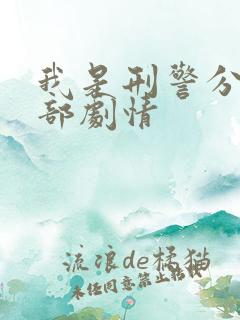 我是刑警分集全部剧情