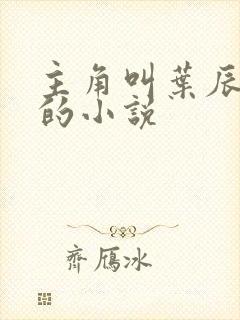 主角叫叶辰都市的小说