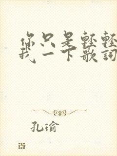 你只是轻轻爱了我一下歌词完整版