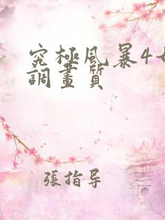 究极风暴4如何调画质