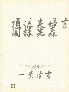 顶流夫妇有点甜图样先森