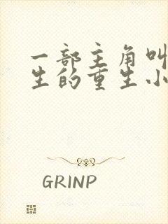 一部主角叫叶长生的重生小说