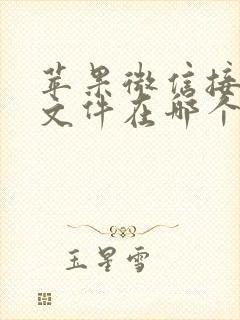 苹果微信接收的文件在哪个文件夹