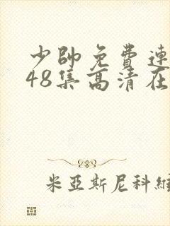 少帅免费连续剧48集高清在线观看