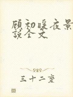顾初暖夜景寒小说全文