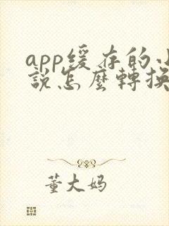 app缓存的小说怎么转换成txt