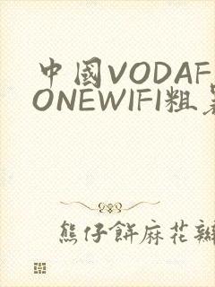 中国VODAFONEWIFI粗暴APP