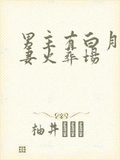 男主有白月光追妻火葬场