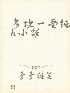 多攻一受纯肉高h小说