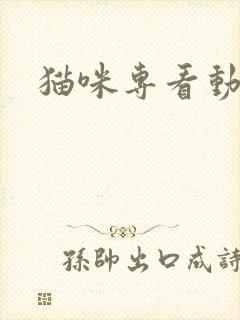 猫咪专看动画片