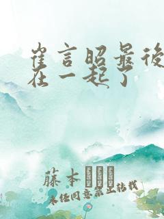 崔言昭最后和谁在一起了