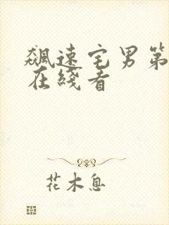 飙速宅男第4季在线看