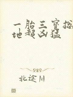 一胎三宝总裁爹地超凶猛