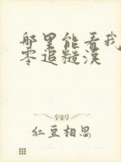 哪里能看我在八零追糙汉