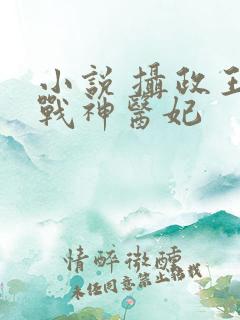 小说 摄政王的战神医妃