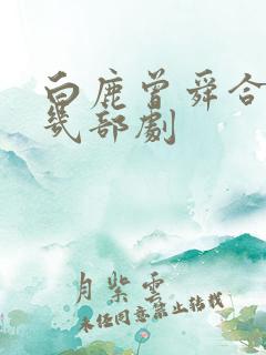 白鹿曾舜合作过几部剧