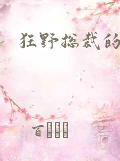 狂野总裁的女人