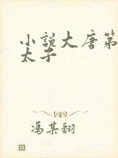 小说大唐第一皇太子