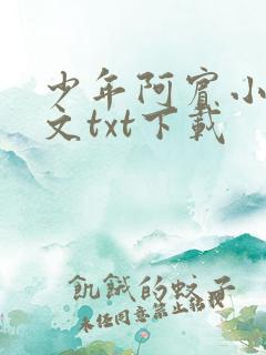 少年阿宾小说全文txt下载