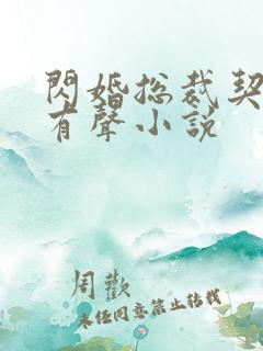 闪婚总裁契约妻有声小说