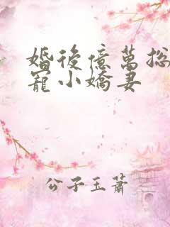 婚后亿万总裁独宠小娇妻