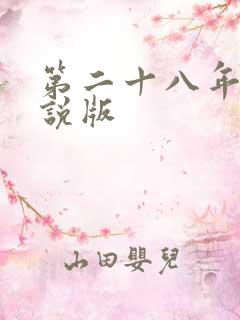 第二十八年春小说版