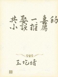 共娶一妻的古言小说推荐