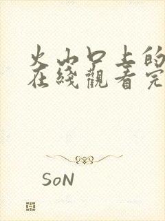 火山口上的两人在线观看完整免费高