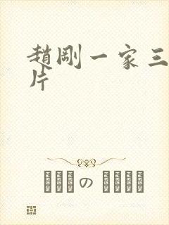 赵刚一家三口照片