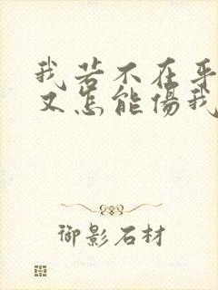 我若不在乎你你又怎能伤我什么歌