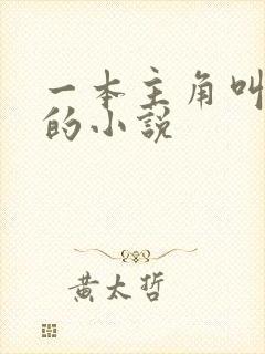 一本主角叫林萧的小说