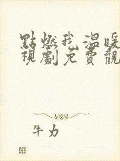 点燃我温暖你电视剧免费观看完整