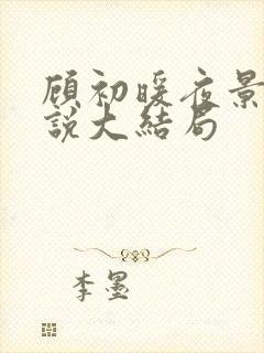 顾初暖夜景寒小说大结局