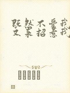 既然不爱我为何又来招惹我完整版