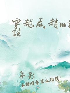 穿越成赵m的小说