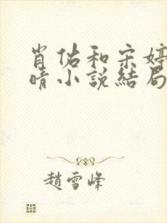 肖佑和宋婷吴玉晴小说结局