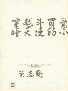 穿越斗罗觉醒光暗天使的小说