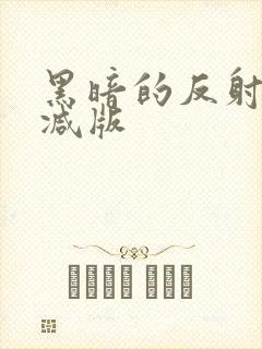 黑暗的反射无删减版