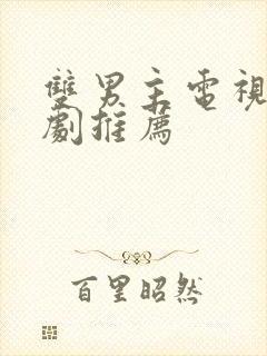 双男主电视剧台剧推荐