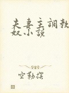 夫妻主调教夫妻奴小说