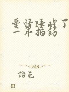 爱情睡醒了是哪一年拍的