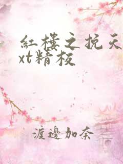 红楼之挽天倾txt精校