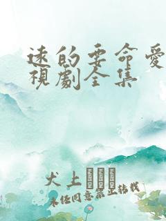 远的要命爱情电视剧全集