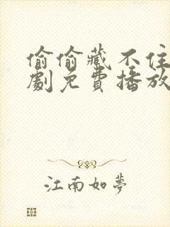 偷偷藏不住电视剧免费播放全集