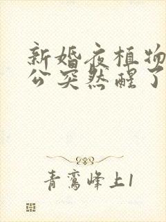 新婚夜植物人老公突然醒了短剧