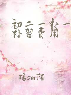 初二一对一数学补习费用