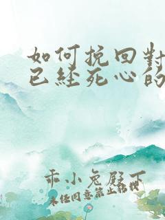 如何挽回对自己已经死心的男人