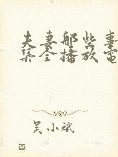 夫妻那些事24集全播放电视剧星辰