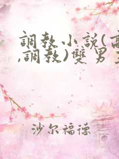 调教小说(高h,调教)双男主