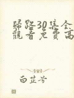 归路30集全集观看免费高清电视剧